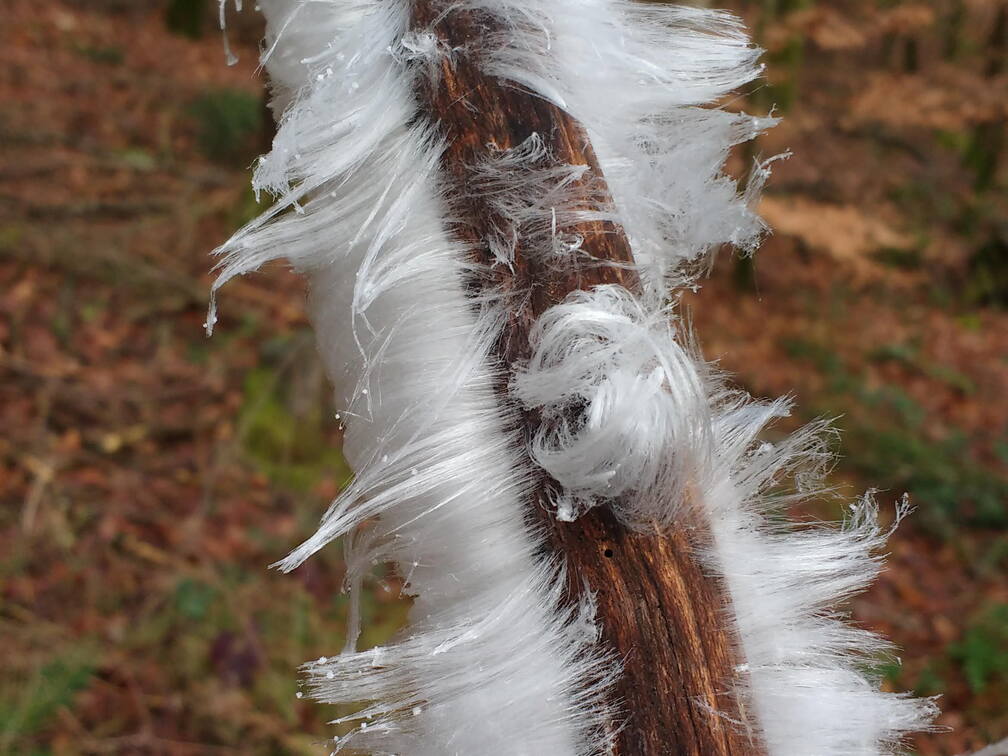 IMG 20190118 104452558